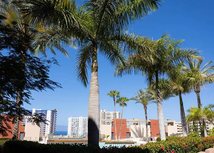 Playa Paraiso 2 -